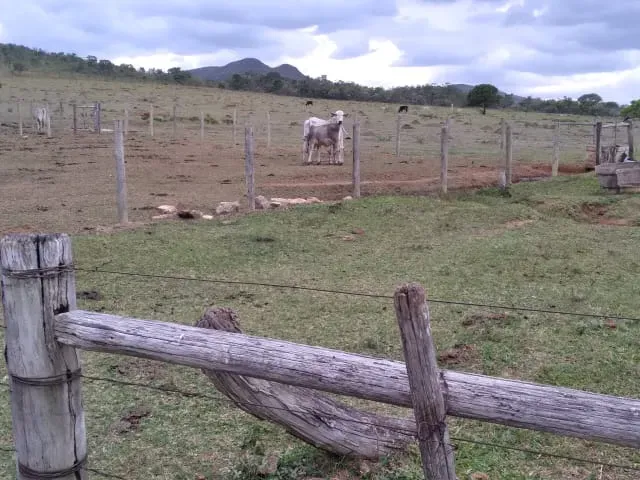Fazenda em Santo Hipólito/Minas Gerais — Ref NSD41Z — Imagem 45