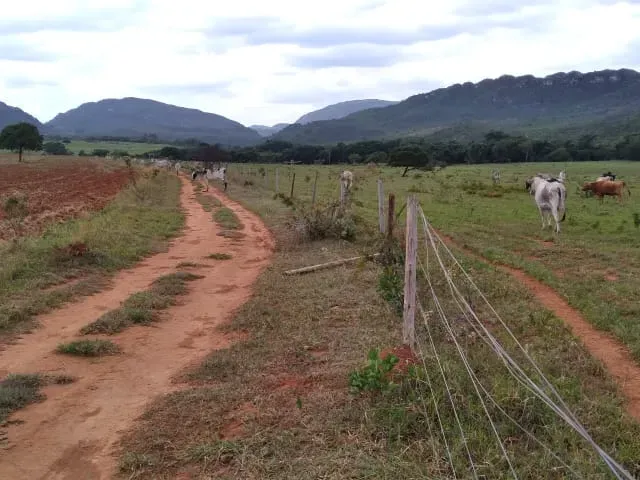 Fazenda em Santo Hipólito/Minas Gerais — Ref NSD41Z — Imagem 48