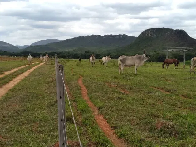 Fazenda em Santo Hipólito/Minas Gerais — Ref NSD41Z — Imagem 50