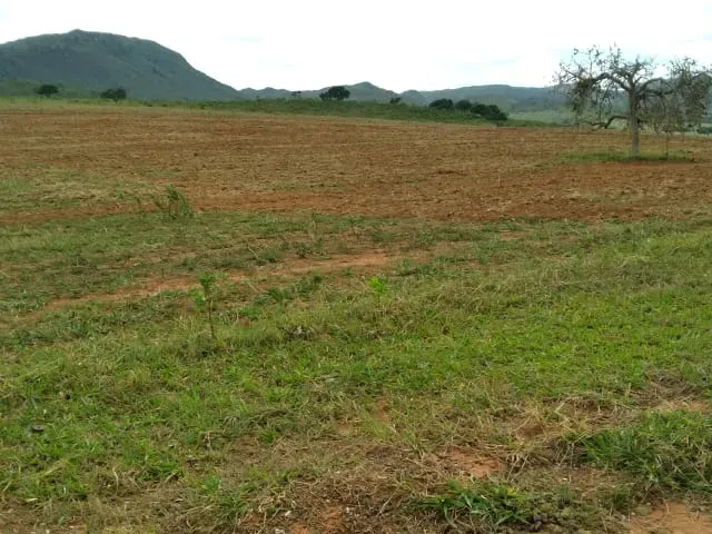 Fazenda em Santo Hipólito/Minas Gerais — Ref NSD41Z — Imagem 51