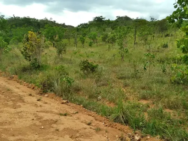 Fazenda em Santo Hipólito/Minas Gerais — Ref NSD41Z — Imagem 54