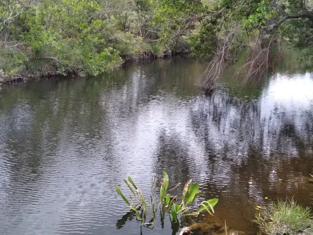 Fazenda em Santo Hipólito/Minas Gerais — Ref NSD41Z — Imagem 56