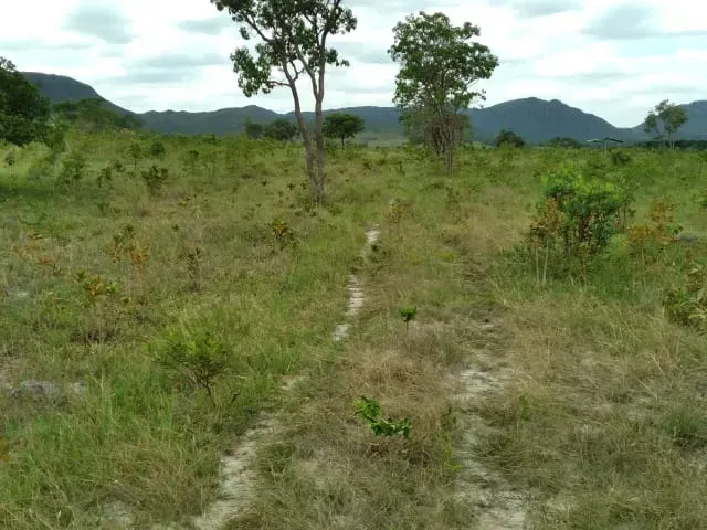 Fazenda em Santo Hipólito/Minas Gerais — Ref NSD41Z — Imagem 60