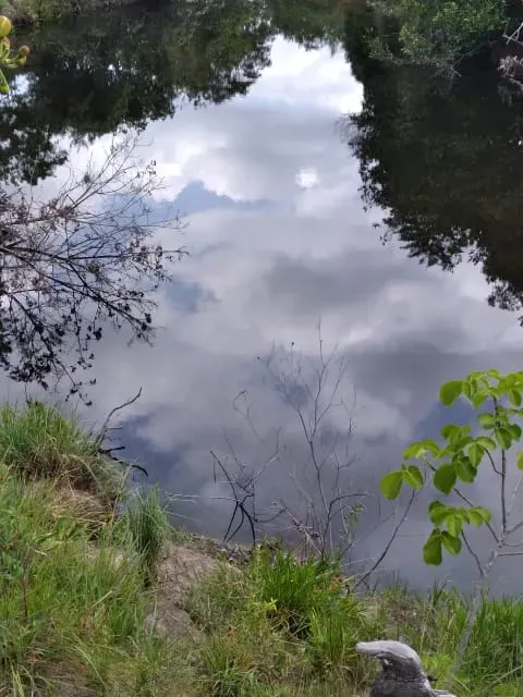 Fazenda em Santo Hipólito/Minas Gerais — Ref NSD41Z — Imagem 59