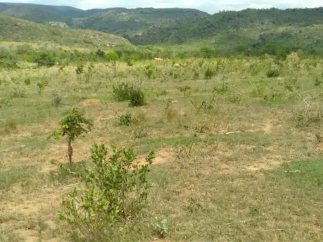 Fazenda em Santo Hipólito/Minas Gerais — Ref NSD41Z — Imagem 61