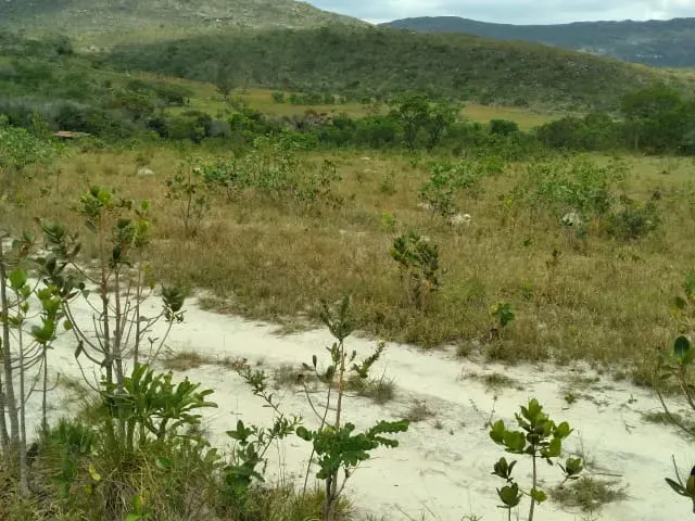 Fazenda em Santo Hipólito/Minas Gerais — Ref NSD41Z — Imagem 62