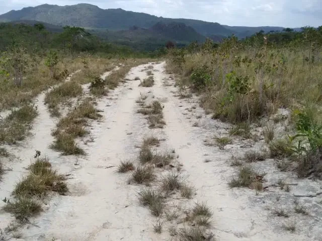 Fazenda em Santo Hipólito/Minas Gerais — Ref NSD41Z — Imagem 63