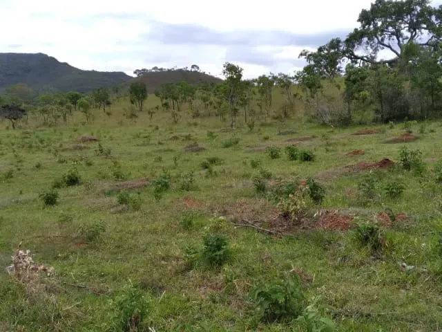 Fazenda em Santo Hipólito/Minas Gerais — Ref NSD41Z — Imagem 64