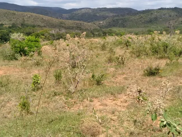 Fazenda em Santo Hipólito/Minas Gerais — Ref NSD41Z — Imagem 65