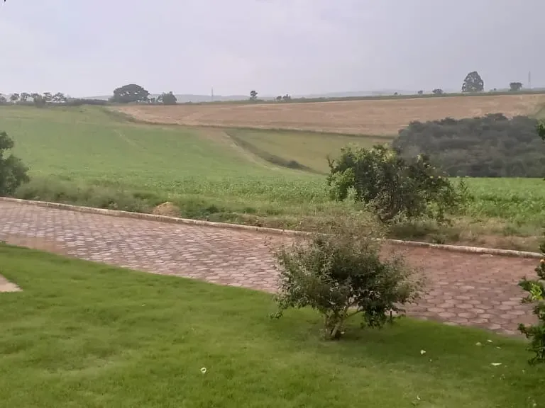 Fazenda em Cruzília/Minas Gerais — Ref 4AARS7 — Imagem 5