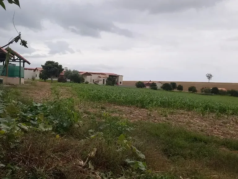 Fazenda em Cruzília/Minas Gerais — Ref 4AARS7 — Imagem 4