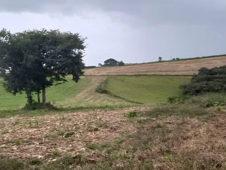 Fazenda em Cruzília/Minas Gerais — Ref 4AARS7 — Imagem 1