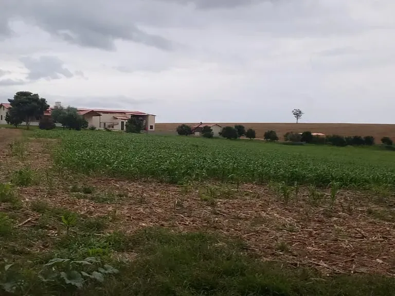 Fazenda em Cruzília/Minas Gerais — Ref 4AARS7 — Imagem 3