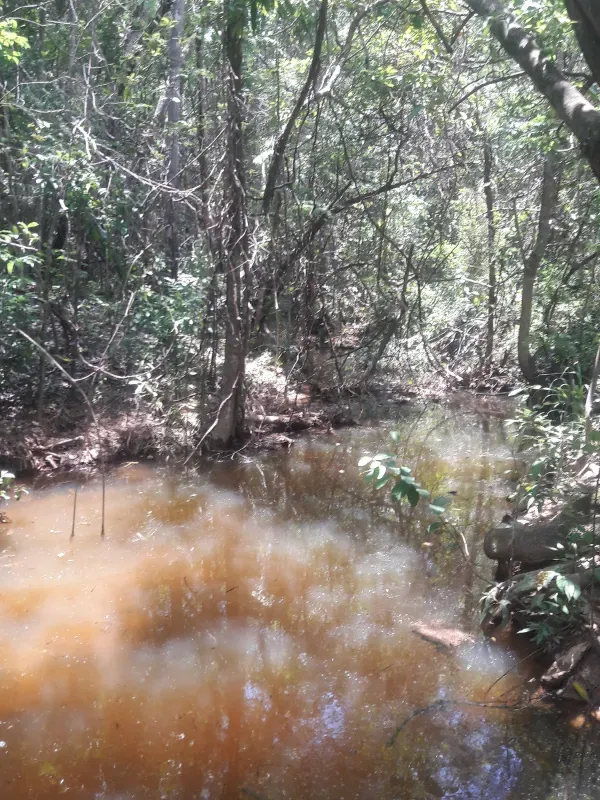 Fazenda em Santana de Pirapama/Minas Gerais — Ref 9ZA64N — Imagem 12