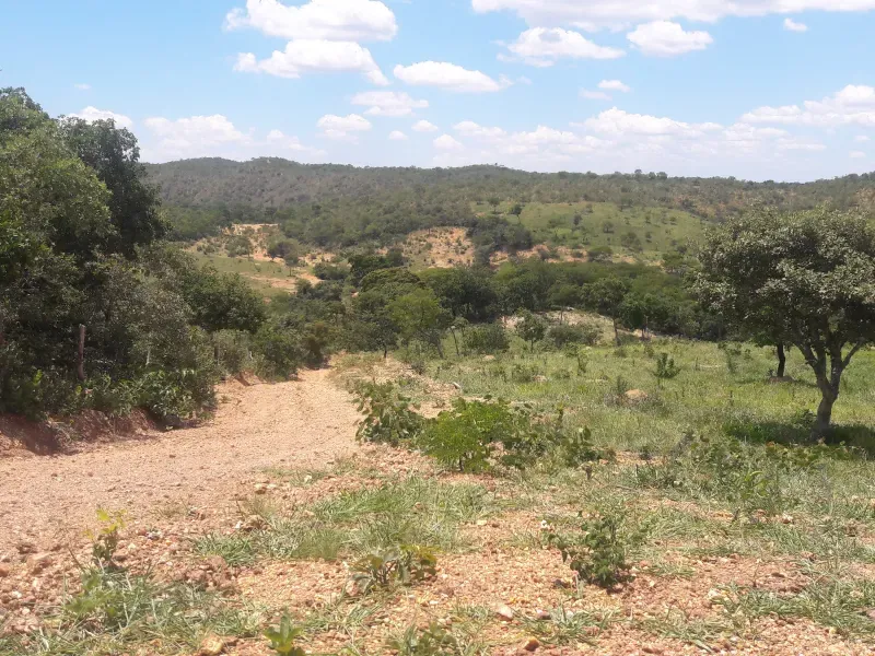Imóvel rural em Santana de Pirapama/Minas Gerais — Ref 9ZA64N1