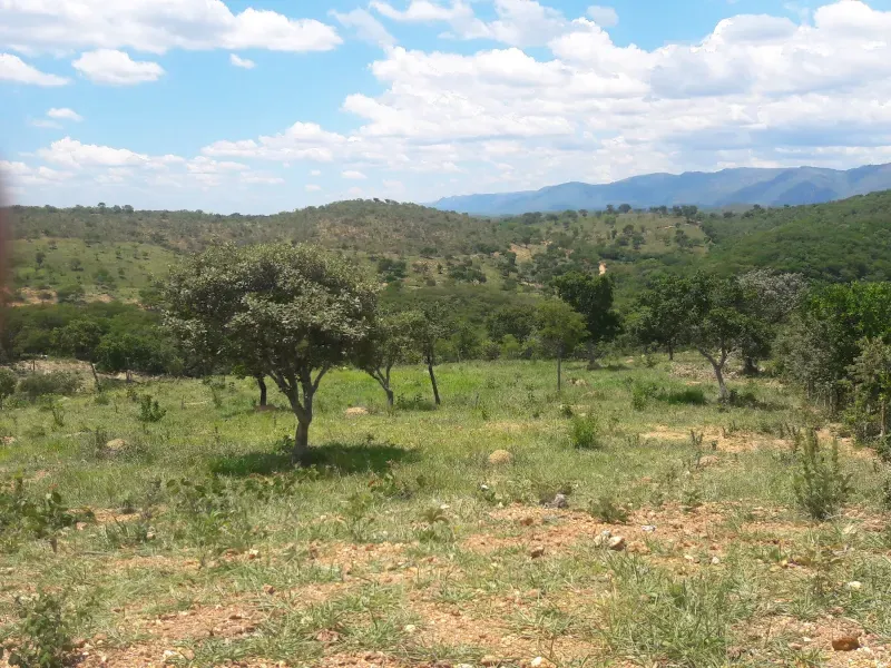 Fazenda em Santana de Pirapama/Minas Gerais — Ref 9ZA64N — Imagem 2