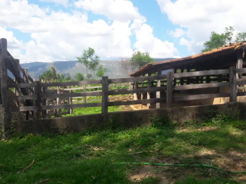 Fazenda em Santana de Pirapama/Minas Gerais — Ref EMI0LQ — Imagem 7