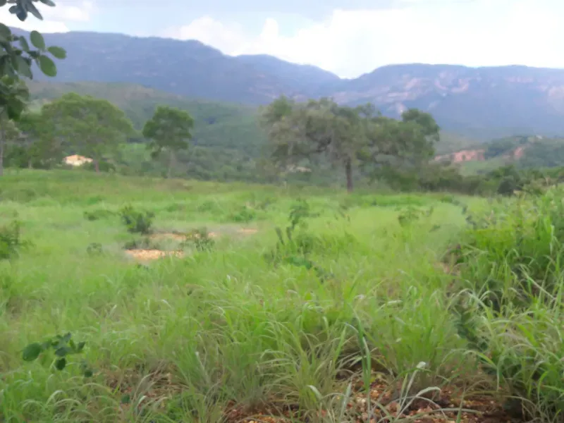 Fazenda em Santana de Pirapama/Minas Gerais — Ref EMI0LQ — Imagem 13