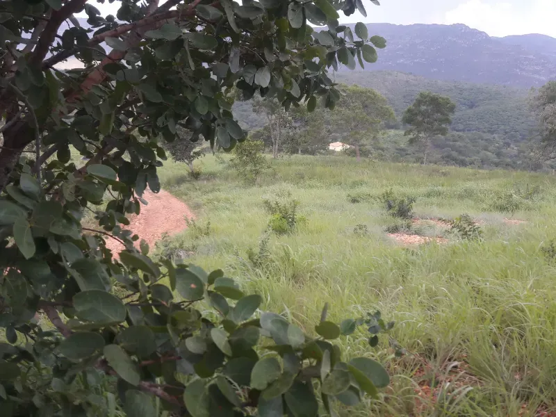 Fazenda em Santana de Pirapama/Minas Gerais — Ref EMI0LQ — Imagem 15