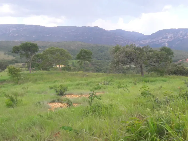 Fazenda em Santana de Pirapama/Minas Gerais — Ref EMI0LQ — Imagem 14