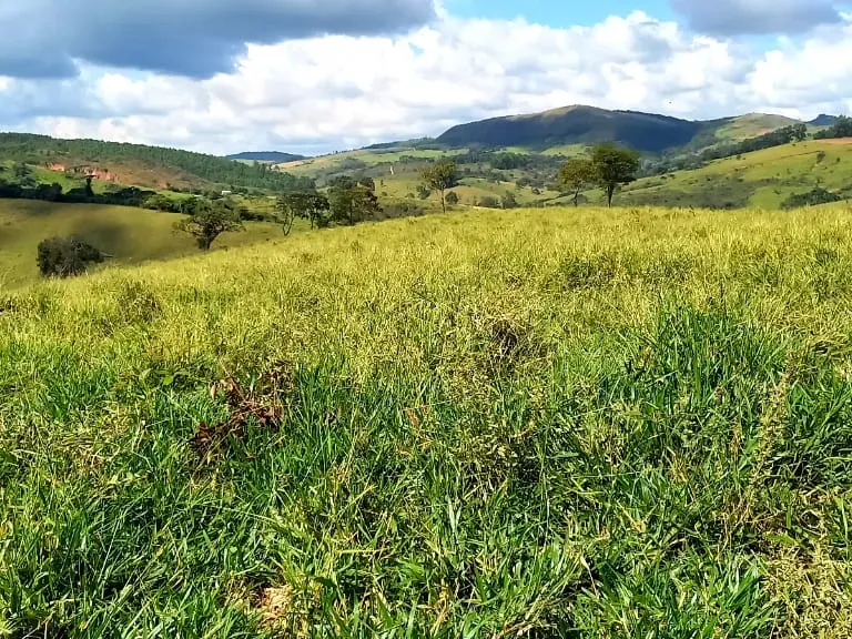 Fazenda em Resende Costa/Minas Gerais — Ref HLUIMU — Imagem 11