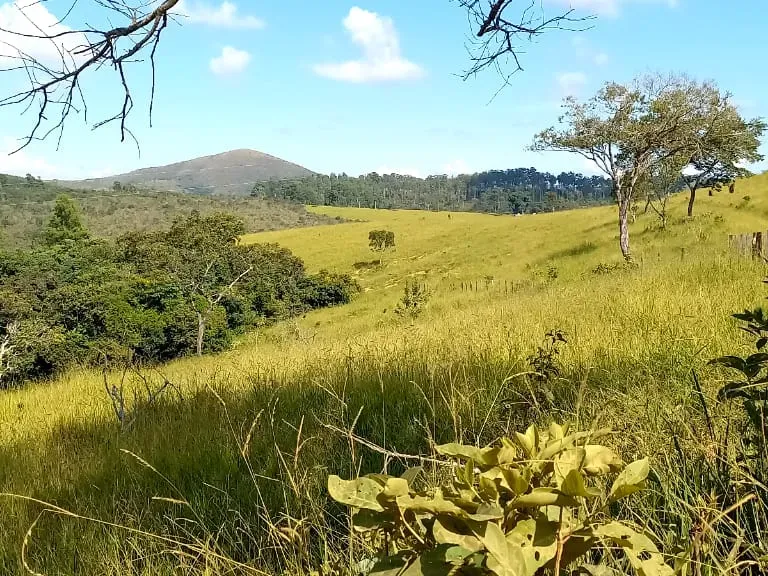 Fazenda em Resende Costa/Minas Gerais — Ref HLUIMU — Imagem 13