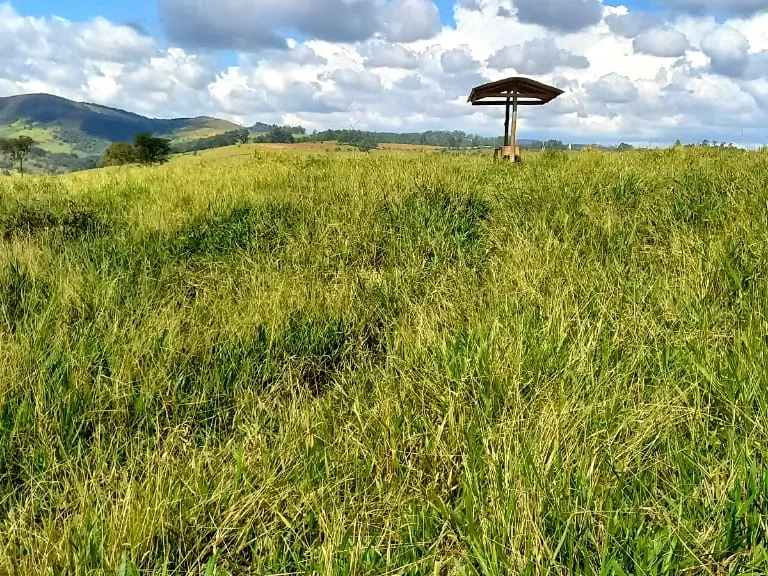 Fazenda em Resende Costa/Minas Gerais — Ref HLUIMU — Imagem 14