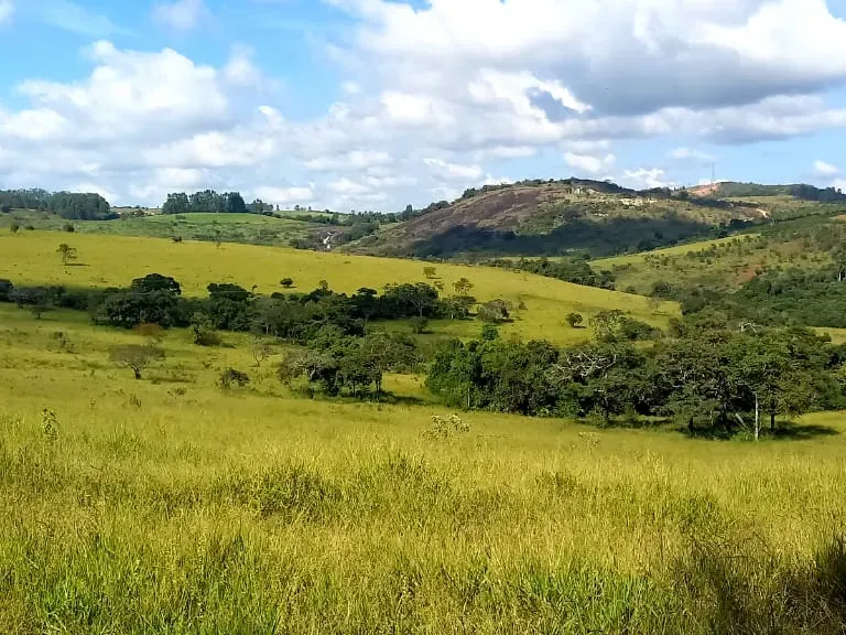 Fazenda em Resende Costa/Minas Gerais — Ref HLUIMU — Imagem 15