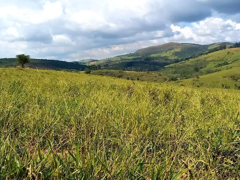 Fazenda em Resende Costa/Minas Gerais — Ref HLUIMU — Imagem 18