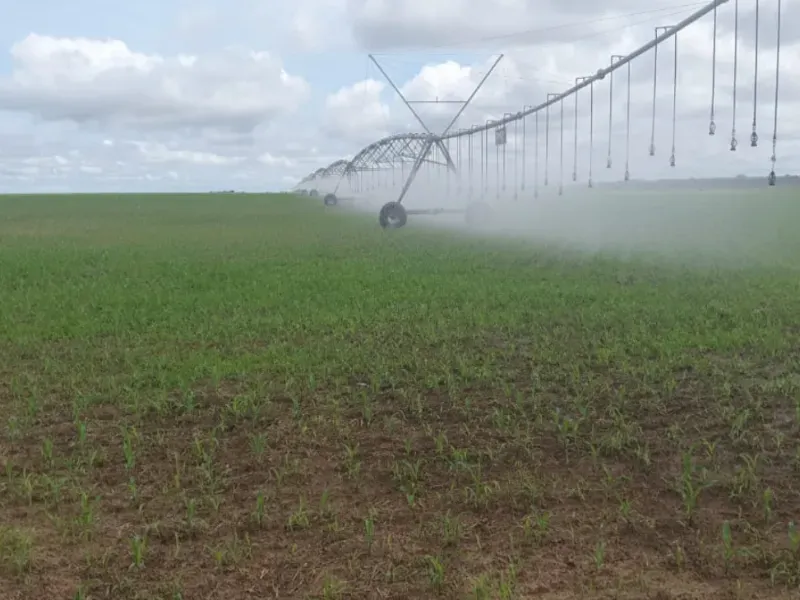 Fazenda em Formosa/Goiás — Ref 71AI4L — Imagem 5