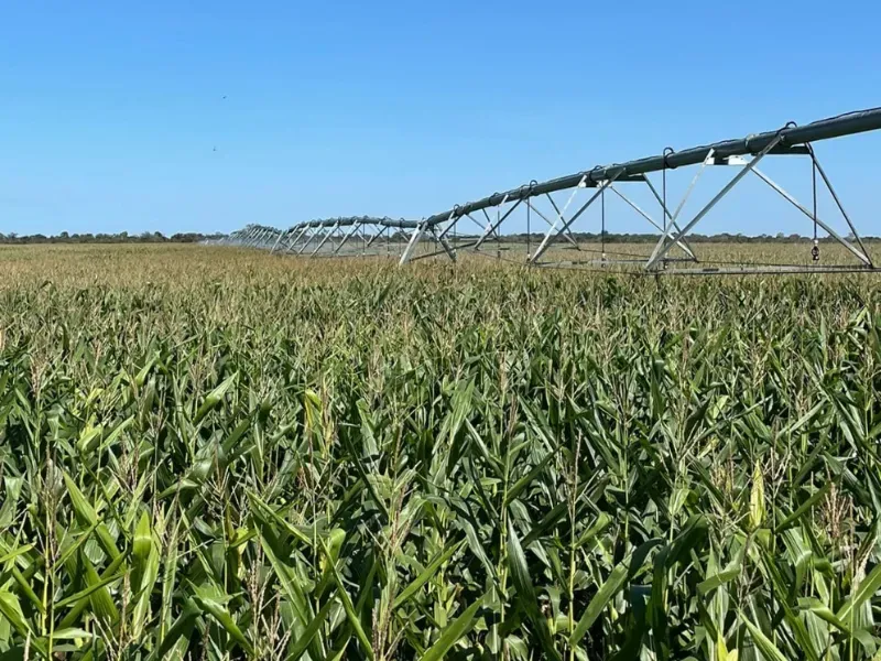 Fazenda em Formosa/Goiás — Ref 71AI4L — Imagem 4