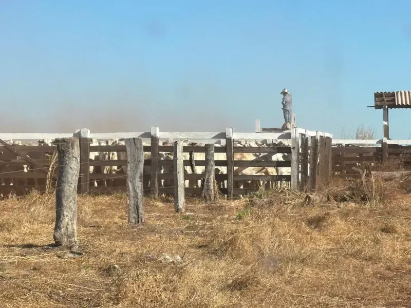 Fazenda em Formosa/Goiás — Ref 71AI4L — Imagem 14