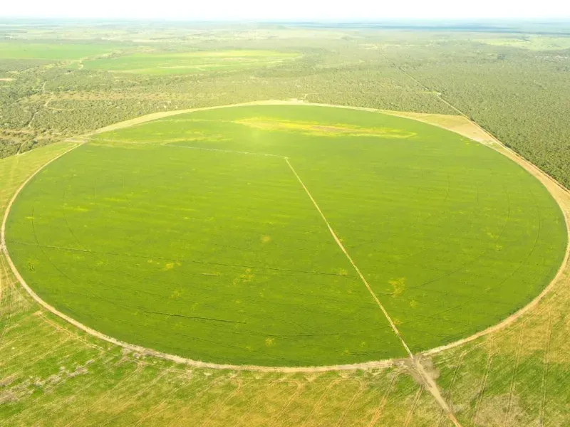 Fazenda em Formosa/Goiás — Ref 71AI4L — Imagem 15