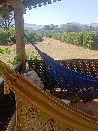 Fazenda em Piumhi/Minas Gerais — Ref ZV7AVE — Imagem 6