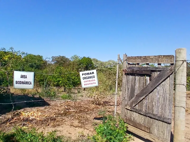 Fazenda em Piumhi/Minas Gerais — Ref ZV7AVE — Imagem 10