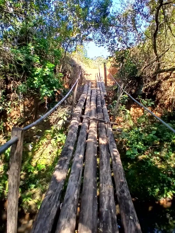 Fazenda em Piumhi/Minas Gerais — Ref ZV7AVE — Imagem 11