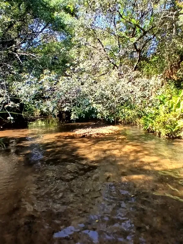 Fazenda em Piumhi/Minas Gerais — Ref ZV7AVE — Imagem 12