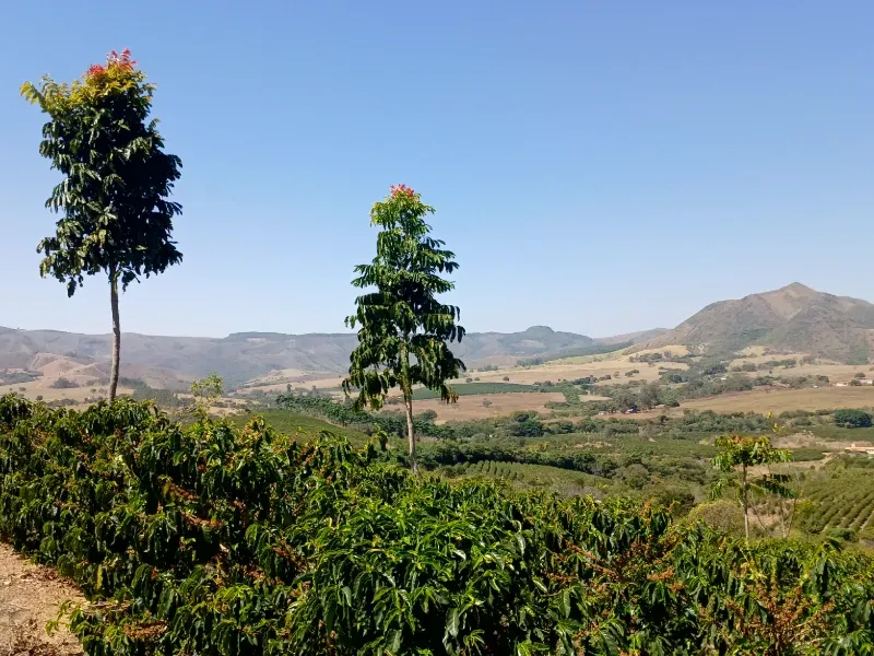 Fazenda em Piumhi/Minas Gerais — Ref ZV7AVE — Imagem 14