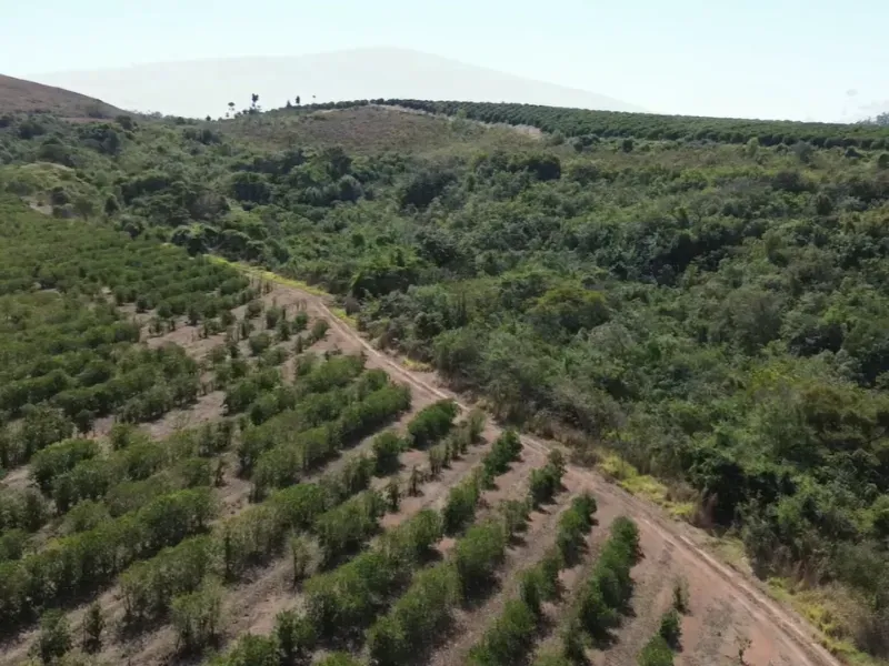 Fazenda em Piumhi/Minas Gerais — Ref ZV7AVE — Imagem 20