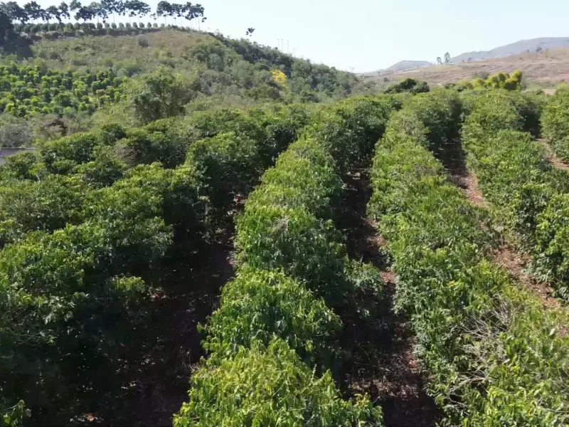 Fazenda em Piumhi/Minas Gerais — Ref ZV7AVE — Imagem 22