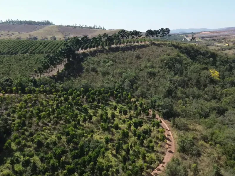Fazenda em Piumhi/Minas Gerais — Ref ZV7AVE — Imagem 23