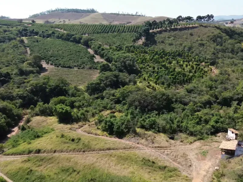 Fazenda em Piumhi/Minas Gerais — Ref ZV7AVE — Imagem 24