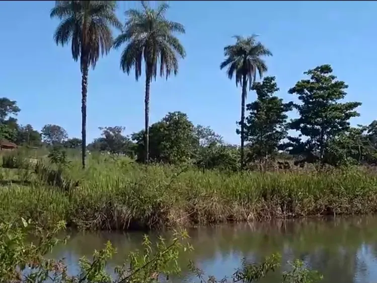 Fazenda em Biquinhas/Minas Gerais — Ref UIPT4F — Imagem 3