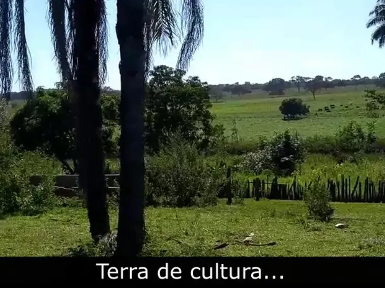 Fazenda em Biquinhas/Minas Gerais — Ref UIPT4F — Imagem 17