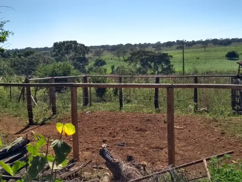 Fazenda em Biquinhas/Minas Gerais — Ref UIPT4F — Imagem 23