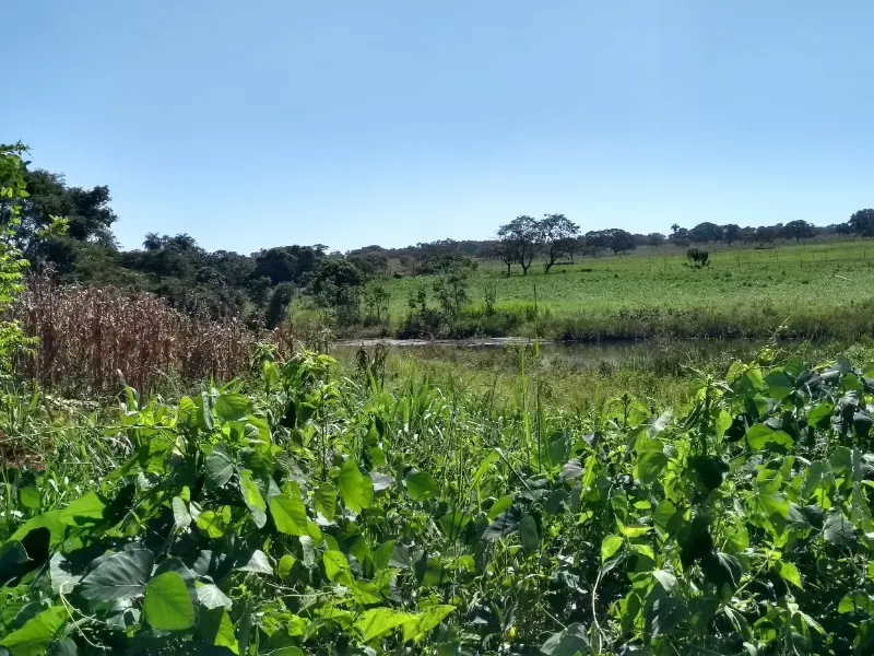 Fazenda em Biquinhas/Minas Gerais — Ref UIPT4F — Imagem 18