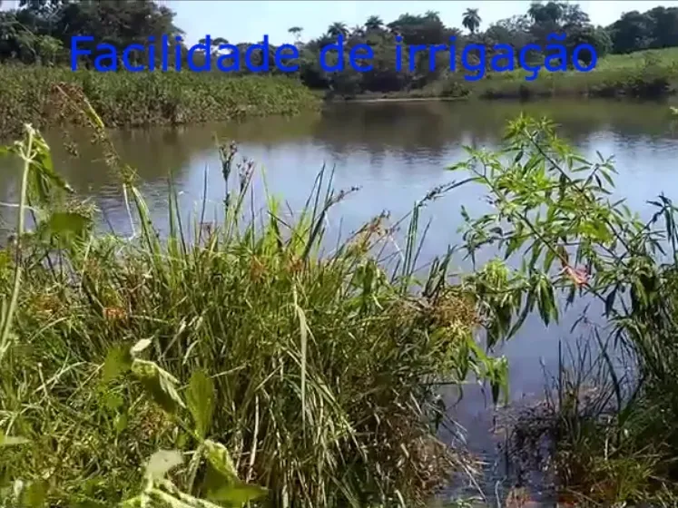 Fazenda em Biquinhas/Minas Gerais — Ref UIPT4F — Imagem 8