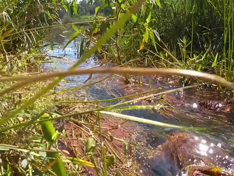 Fazenda em Biquinhas/Minas Gerais — Ref UIPT4F — Imagem 6