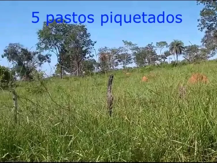 Fazenda em Biquinhas/Minas Gerais — Ref UIPT4F — Imagem 12