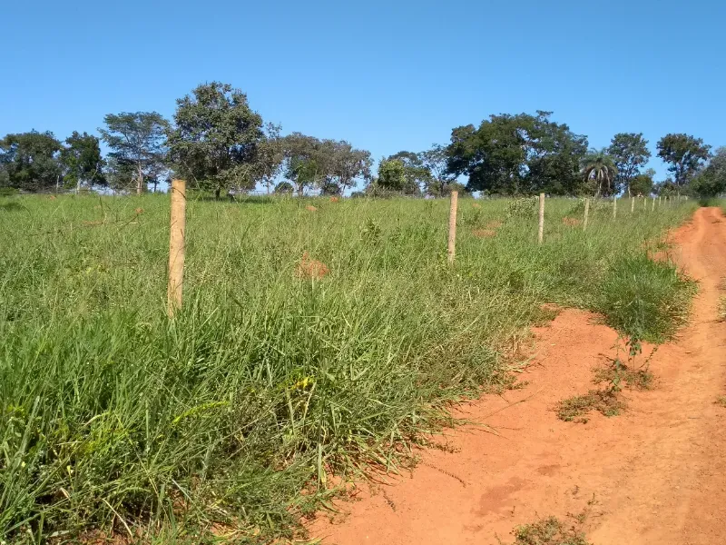 Fazenda em Biquinhas/Minas Gerais — Ref UIPT4F — Imagem 14